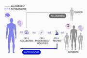  ‏Understanding Cell Therapy