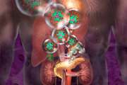 Scientists reverse diabetes in mice with lab-grown insulin cells