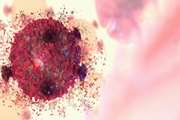 ‏A Rare Cancer-Fighting Plant Compound Has Been Decoded