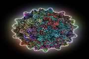 ‏Boy’s Brain Tumor tied to Gene Therapy