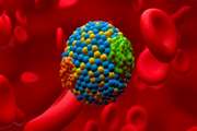  ‏Early results of a PCSK9-targeting gene therapy for treating high cholesterol appear promising.