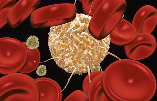 Novel Strategy Could Make Stem Cell Transplants Safer