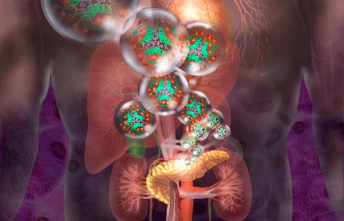 Scientists reverse diabetes in mice with lab-grown insulin cells