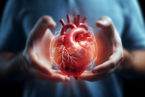 iPSC-derived cardiomyocyte sheet 
