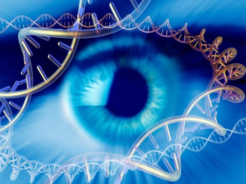 gene therapy that restores lost vision 